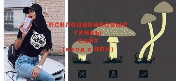 шишки Заволжск