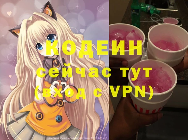 шишки Заволжск