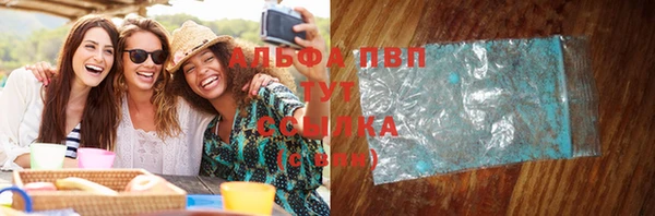 шишки Заволжск