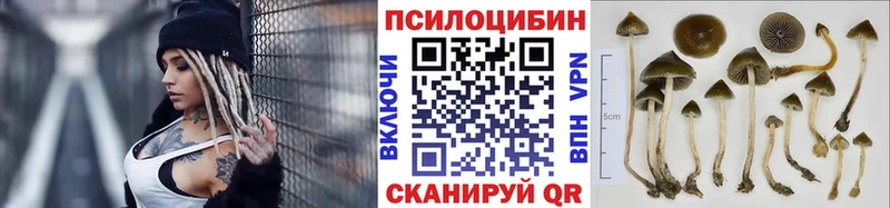 Галлюциногенные грибы ЛСД Богородицк