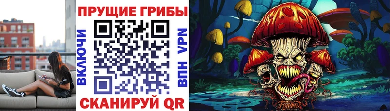 Галлюциногенные грибы мухоморы  Купить  Богородицк 