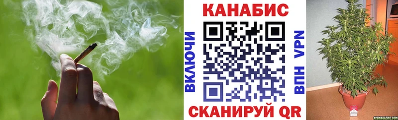 Купить закладки  Богородицк  Шишки марихуана Bruce Banner 